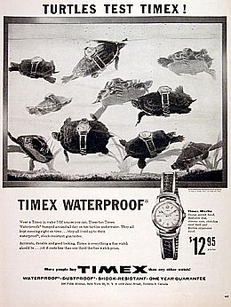 1950s’ print ad showing turtles ‘testing’ Timex watches  – ‘banged around all day on ten turtles underwater. They all kept running right on time...They all lived up to the waterproof, shock-resistant guarantee...’