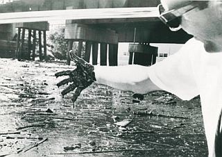 Circa 1960s. Cleveland reporter, Richard Ellers, dipping his hand in the Cuyahoga’s oily soup, was surprised by its thickness.