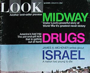 August 8th, 1967, Look magazine: “America’s Bad Trip: The Pot-And-Pill Kick That Is Getting Out of Hand.”